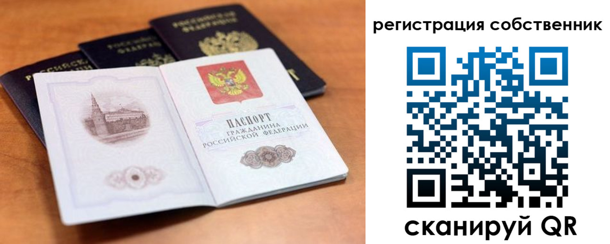 временная регистрация 2025 в Светлом